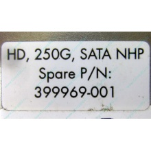 HP 250G 7.2k 432337-001/ 399699-001 / 397377-004 SATA HDD (Обнинск)
