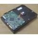 Жесткий диск HP 250Gb 7200 rpm 432337-001/ 399699-001 / 397377-004 (Обнинск)