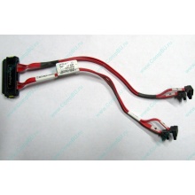 SATA-кабель для корзины HDD HP 451782-001 459190-001 для HP ML310 G5 (Обнинск)