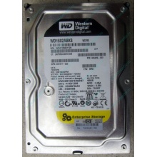 Жесткий диск 160Gb WD WD1602ABKS SATA (Обнинск)