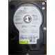 Б/У жёсткий диск 400Gb WD WD4000YR Caviar RE2 7200 rpm SATA  (Обнинск)