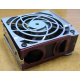 HP 224977 (224978-001) for Proliant ML370 G2/G3/G4 (Обнинск).