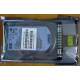HDD 146.8Gb HP 360205-022 404708-001 404670-002 (Обнинск)