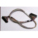 Intel 6017B0045301 в Обнинске, 68 pin SCSI кабель 26.5" / 57см для корзины HDD корпуса SR2400 (Обнинск)