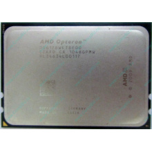 AMD Opteron 6128 OS6128WKT8EGO (Обнинск)