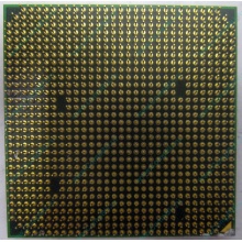 Процессор AMD Athlon 64300+ (1.8GHz) ADA3000IAA4CN s.AM2 (Обнинск)