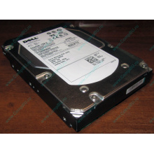 Жесткий диск 300Gb 15k Dell 9CH066-050 6G SAS (Seagate Cheetach ST3300656SS 15K.6) - Обнинск