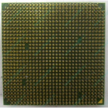 Процессор AMD Sempron 3000+ (1.6GHz) SDA3000IAA3CN s.AM2 (Обнинск)