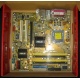 Материнская плата Asus P5L-VM 1394 s.775 (Обнинск)